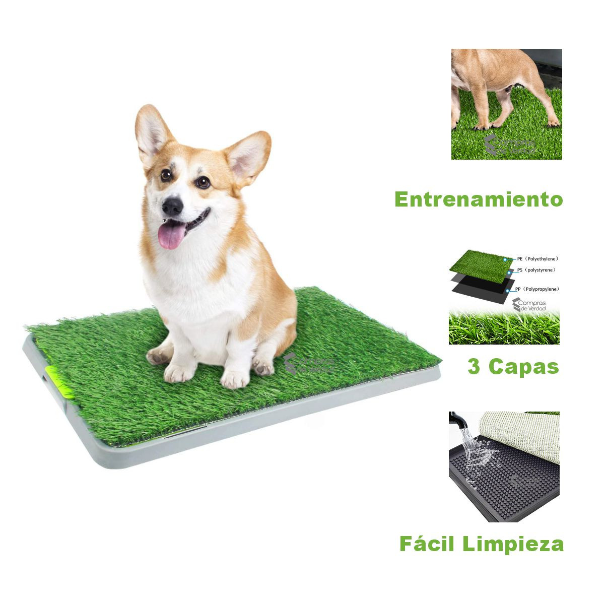 Miniatura 2 de Tapete Entrenamiento Para Perro Grande